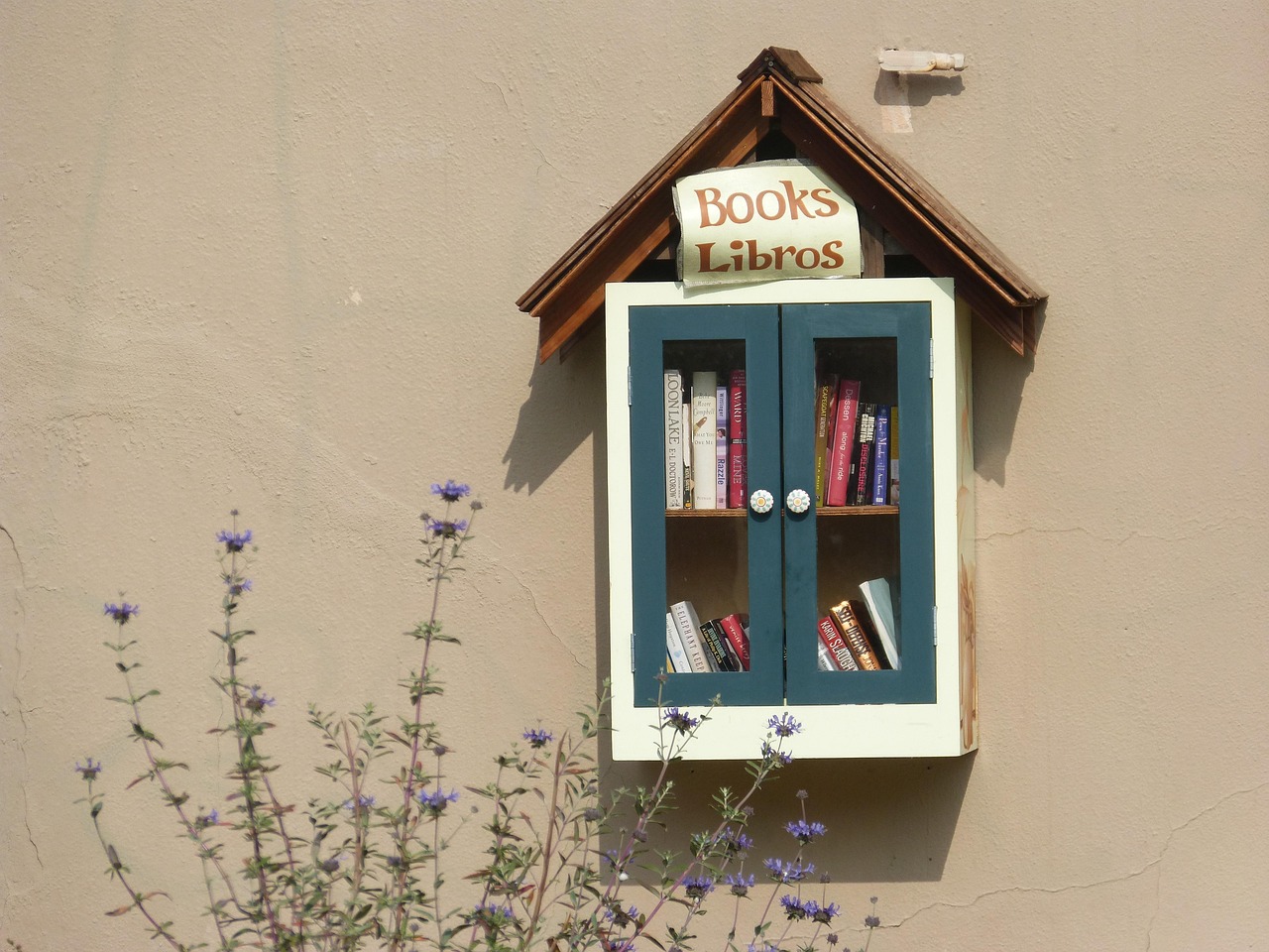 The Little Free Library on Sycamore Street Is Bursting at the Seams