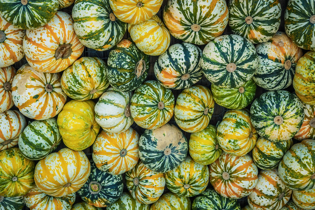 West Meadow's Fall Festival Returns with a Slightly Different Look